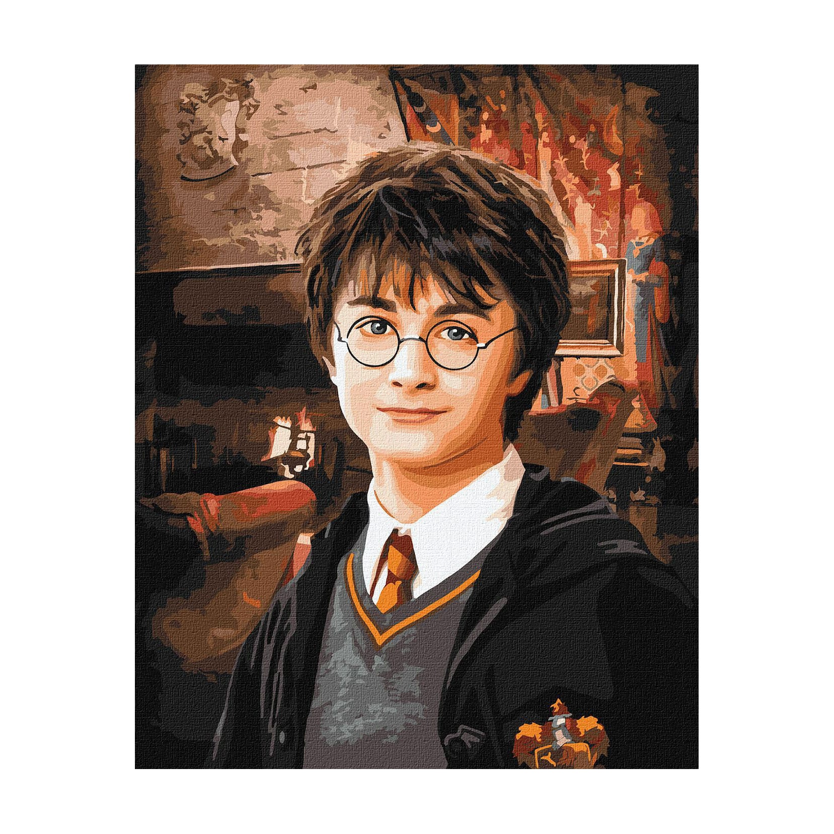 Картина за номерами Ideyka Harry Potter: Вітальня Ґрифіндору, 40*50 см (KHO8708)